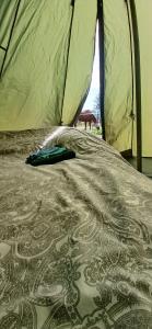 a comforter on a bed in a tent at Tipi tent met 2 persoons luchtbed in Sneek