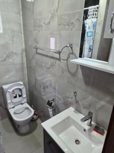 a bathroom with a white toilet and a sink at Komarnica Willage home in Šavnik +15 photos