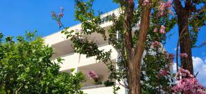 a white building with trees in front of it at Lyon Apartments in Budva