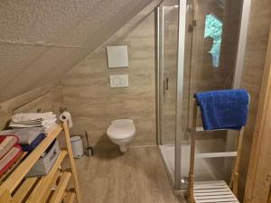 a small bathroom with a toilet and a shower at Appartment Haus Zirknitz in Mitterzirknitz +12 photos