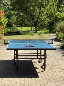 a ping pong table with a pair of scissors on it at Haus Wald und Wiese Wohnung Wiese in Ehndorf