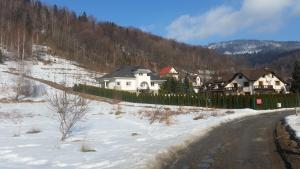 a house on the side of a snow covered road at Biały Domek in Szczyrk