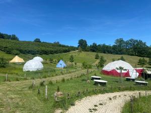 a group of tents on a grassy hill at Igloo, Lodge et Tipi confortable in L Honor De Cos