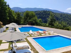 a pool with chairs and umbrellas in front of a mountain at Eko cottages in Borjomi
