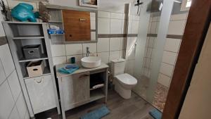 a small bathroom with a toilet and a sink at Kazalou in Terre-de-Bas