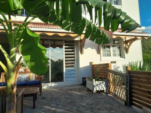 a front door of a house with a patio at Kazalou in Terre-de-Bas +3 photos
