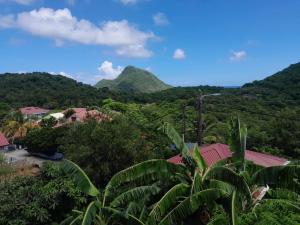 a view of a mountain with trees and houses at Kazalou in Terre-de-Bas