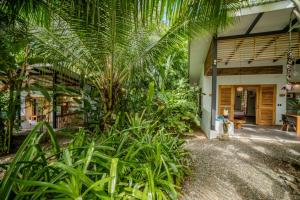 a house with a bunch of plants in front of it at Villa Lapa 10-15 min walking to the beach in Punta Uva