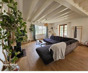 a large living room with a couch and a large plant at Chez yoan et laurie in Corbelin