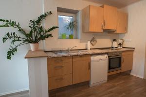 a kitchen with wooden cabinets and a potted plant at Ferienwohnung Viabella in Pleisweiler-Oberhofen