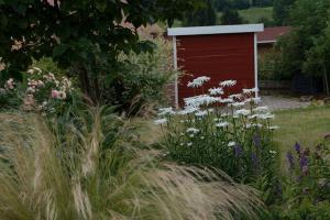 ein roter Schuppen in einem Garten mit Blumen im Gras in der Unterkunft Ferienwohnung Viabella in Pleisweiler-Oberhofen