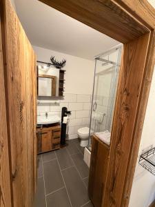 a bathroom with a toilet and a sink and a shower at Appartement Schönpflug in Kaprun +69 photos