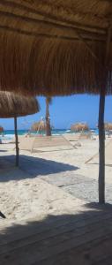a beach with some straw umbrellas and the ocean at لؤلؤة البحر in Alexandria