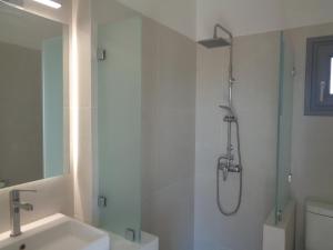 a bathroom with a shower and a sink at Villa Ploes in Agios Georgios