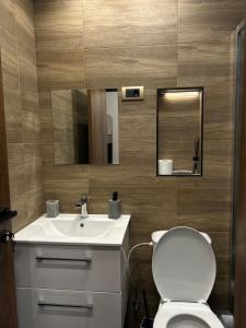 a bathroom with a sink and a toilet and a mirror at Apartman Porta 108 in Kruševac