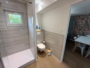 a bathroom with a shower with a toilet and a sink at Chtî arq in Arques-la-Bataille +13 photos