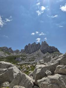 Příroda nedaleko apartmánu + 6 fotografií