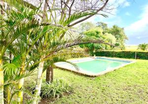 a swimming pool in a yard with a palm tree at Eikelaan Farm Cottages in Tulbagh