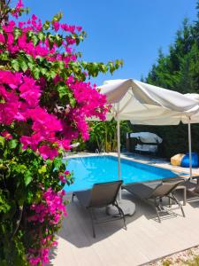 a swimming pool with pink flowers and an umbrella at BegonVilla Fethiye-Göcek in Muğla