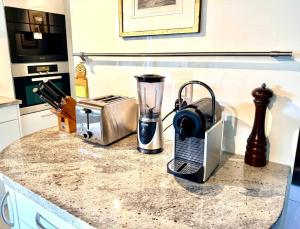 a kitchen counter with a blender and a toaster at Mountain View in Andermatt