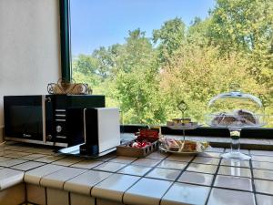 a kitchen counter with a microwave and a window at Il giardino delle cince in Borgo Ticino