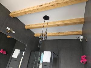 a bathroom with a glass shower and wooden ceiling at Jois Apartments Periam in Periam +33 photos