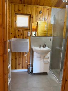 a bathroom with a sink and a shower at Domki pod Brzozą in Czarnocin +32 photos