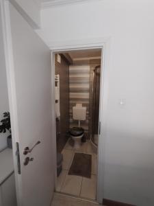 a bathroom with a toilet and a shower and a door at Jakov & David in Gospić +24 photos