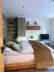 a bedroom with a large bed and a television at Luxuriöse Fewo Schaffner in Warendorf +33 photos