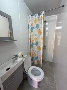 a bathroom with a toilet and a shower curtain at Auberge de Chez Momo in Asilah