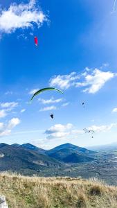 a group of kites flying in the sky over a field at Wayra Glider Norma Centro in Norma