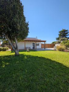 a house with a tree in a yard at Casa Oliveira in Sagres