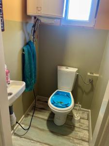 a bathroom with a toilet with a blue seat at MAX Dunaj in Trstice