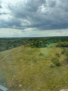 an overhead view of a field of grass and trees at Panorama Apartment in Lviv