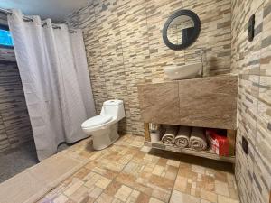 a bathroom with a toilet and a sink and a mirror at Lujo Rustico Lago Cerca Terraza Mascotas in Llano Grande +26 photos