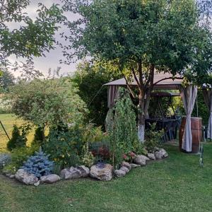 a garden with a tent and a bunch of plants at Casa Mamei in Suceava