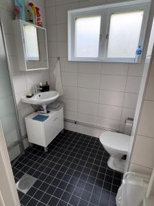 a bathroom with a sink and a toilet at Villa Timsfors i Markaryd in Markaryd