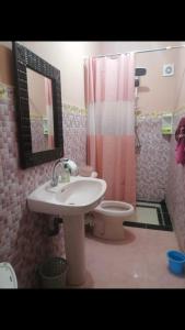 a bathroom with a sink and a toilet and a mirror at Aberge Tigmenon Ouirgane in Ouirgane