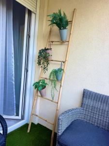 a wooden ladder with plants on it next to a window at 2-6 Apartman Szeged in Szeged +2 photos