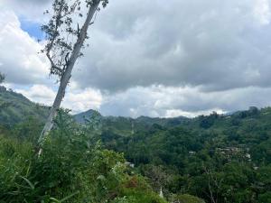 a view of a mountain valley with a tree at Sky Frame cottage in Demodera