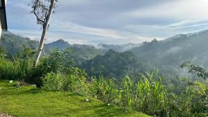 a view of a mountain valley with clouds and trees at Sky Frame cottage in Demodera