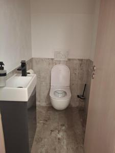 a bathroom with a white toilet and a sink at Apartmán Palza Jablonec in Jablonec nad Nisou