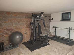 a gym with a brick wall and exercise equipment at Apartmán Palza Jablonec in Jablonec nad Nisou +2 photos
