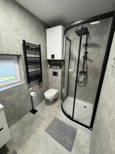 a bathroom with a shower and a toilet at Sonińskie Wzgórze Domki  +16 photos
