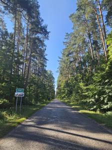 an empty road with trees on both sides of it at Borowy Zielnik  +12 photos