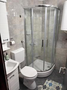 a bathroom with a shower with a toilet and a sink at Apartmani Zelena jela in Šljivovica
