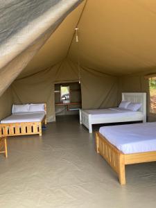 a room with three beds in a tent at Oloibormut in Sekenani
