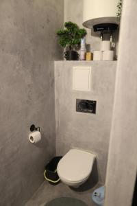 a bathroom with a white toilet and a roll of toilet paper at Apartmán PT Donovaly in Donovaly +9 photos