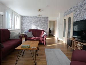 a living room with a red couch and a tv at Ferienwohnung Schelklewiese in Baiersbronn
