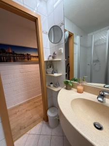 a bathroom with a sink and a toilet and a mirror at Ferienwohnung Talblick in Sankt Englmar +11 photos